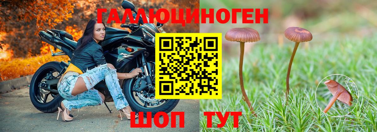 Галлюциногенные грибы GOLDEN TEACHER  Вход с VPN  хочу   Лесозаводск  Галлюциногенные грибы Psilocybe 